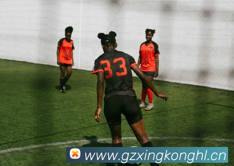 App Interface Preview